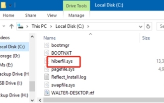 hiberfil.sys 파일이란 무엇입니까? hiberfil.sys를 삭제할 수 있나요?