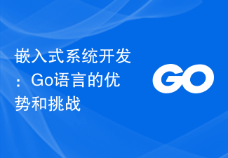 Embedded system development: Advantages and challenges of Go language