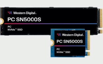 Western Digital, PC SN5000S NVMe SSD 출시: QLC 플래시 메모리, 최대 2TB 용량