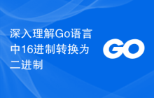 深入理解Go语言中16进制转换为二进制