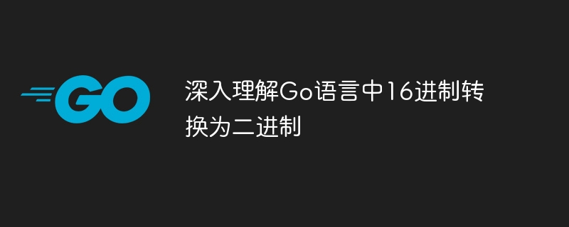 Go 言語における 16 進数から 2 進数への変換についての深い理解