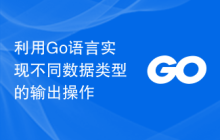 利用Go语言实现不同数据类型的输出操作