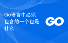 Go语言中必须包含的一个包是什么