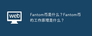 fantom币是什么？fantom币的工作原理是什么？