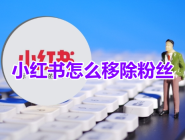 小红书怎么移除粉丝呢?小红书移除粉丝操作方法!
