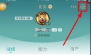 掌上英雄联盟查其他人战绩