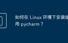 如何在 Linux 环境下安装使用 pycharm？