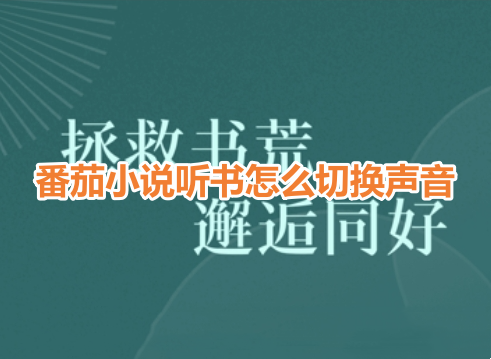 番茄小說聽書怎麼切換聲音？番茄小說切換聽書聲音設定教學！