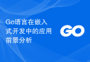 Go语言在嵌入式开发中的应用前景分析