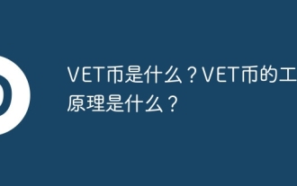 What is VET coin? How does VET coin work?