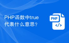 PHP函数中true代表什么意思?