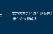 零跑汽车C11曝半路失速趴窝 半个月未能解决