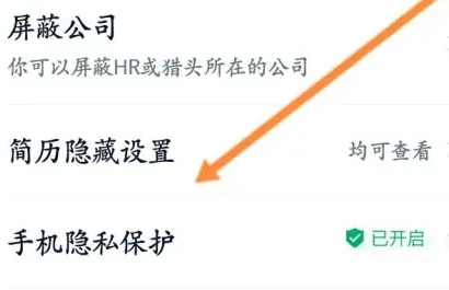 How to hide resume in Liepin? Tutorial on setting up hidden resume for Liepin!