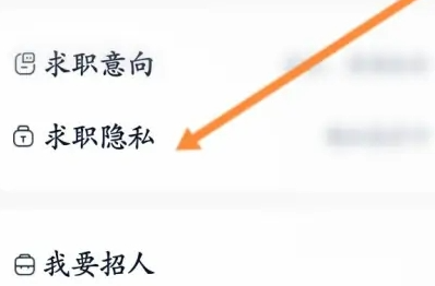 How to hide resume in Liepin? Tutorial on setting up hidden resume for Liepin!