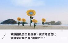 户外不用狂拉亮度条 ? 这波手机实测带你 get 国产屏亮度之王