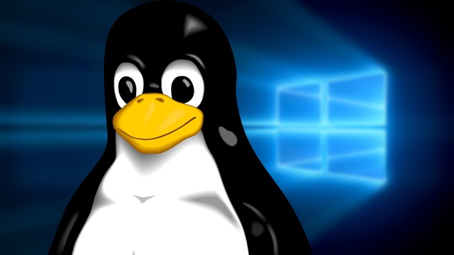 简析Linux中 /proc/[pid] 目录的各文件-LINUX-