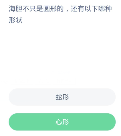 蚂蚁森林神奇海洋3月17日：海胆不只是圆形的还有以下哪种形状