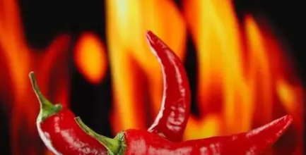 Ant Manor March 18: The reason why chili peppers are spicy is actually for