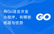用Go语言开发小程序,有哪些挑战与优势