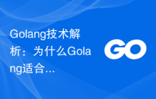 Golang技术解析：为什么Golang适合用来开发网站