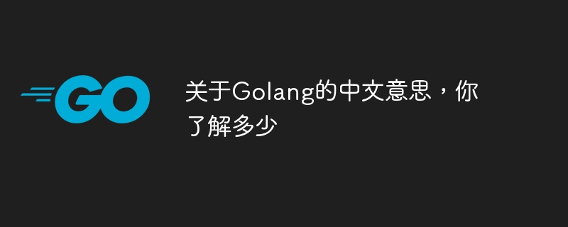 关于golang的中文意思，你了解多少