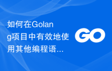 如何在Golang项目中有效地使用其他编程语言