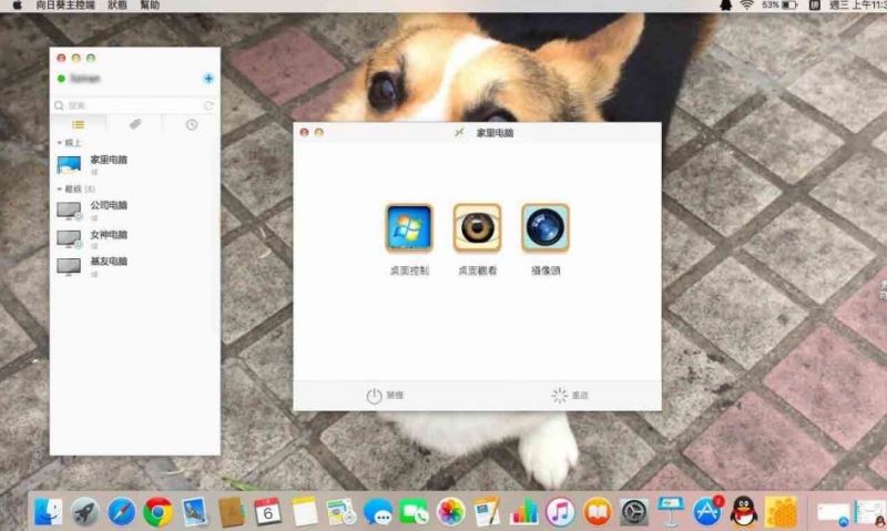 How to use Sunflower Client Mac-Sunflower Client Mac usage tutorial