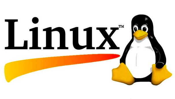 Penjelasan terperinci tentang arahan tput yang biasa digunakan dalam projek sumber terbuka Linux