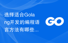 选择适合Golang开发的编程语言方法有哪些