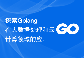 探索Golang在大数据处理和云计算领域的应用前景