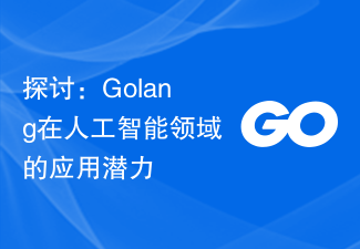 探讨：Golang在人工智能领域的应用潜力