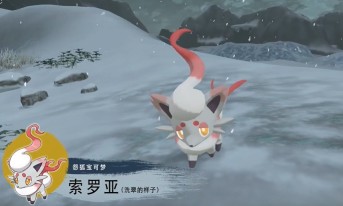 宝可梦传说阿尔宙斯洗翠索罗亚索罗亚克