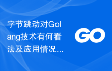 字节跳动对Golang技术有何看法及应用情况?