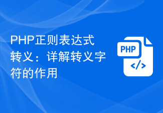 PHP 正規表現エスケープ: エスケープ文字の役割の詳細な説明