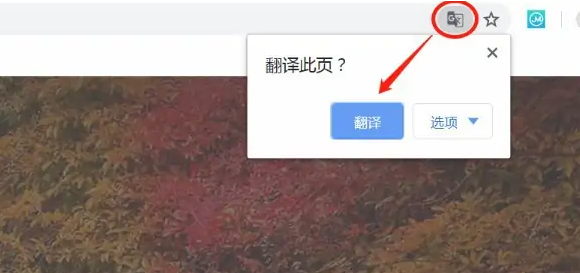 How to turn on the translation function of Google Chrome