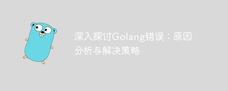 Ein tiefer Einblick in Golang-Fehler: Ursachenanalyse und Lösungsstrategien