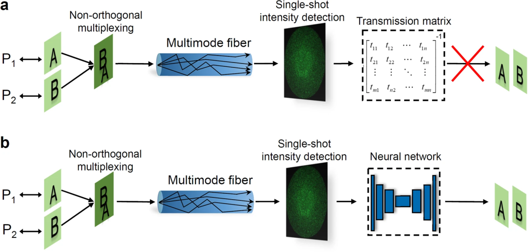 Die Genauigkeit beträgt bis zu ~98 %. Die Forschung „KI + Optik der Technischen Universität Guangzhou wurde in der Fachzeitschrift Nature veröffentlicht. Deep Learning ermöglicht nicht-orthogonales optisches Multiplexing.