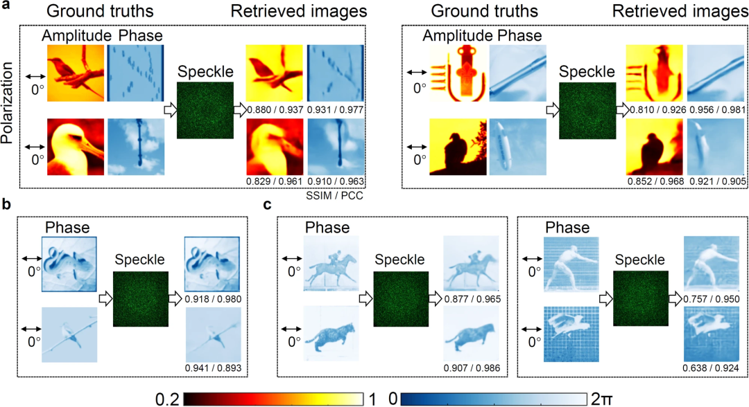 La fidélité atteint environ 98 %. La recherche « AI + Optics » de lUniversité de technologie de Guangzhou est publiée dans la sous-journal Nature. Lapprentissage profond permet le multiplexage optique non orthogonal.