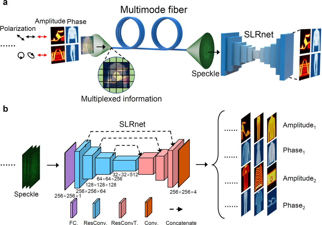 忠実度は ~98% と高いです。広州理工大学の「AI + 光学」研究が Nature サブジャーナルに掲載されました。深層学習により非直交光多重化が強化されます。