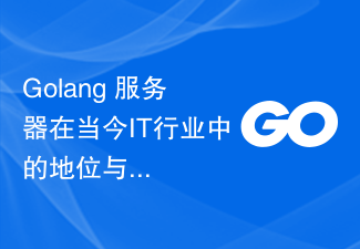 今日の IT 業界における Golang サーバーの地位と価値