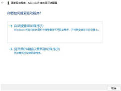 How to upgrade the graphics card driver in Win11 computer_How to upgrade the graphics card driver in Win11 computer