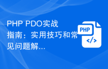 PHP PDO实战指南:实用技巧和常见问题解决方案