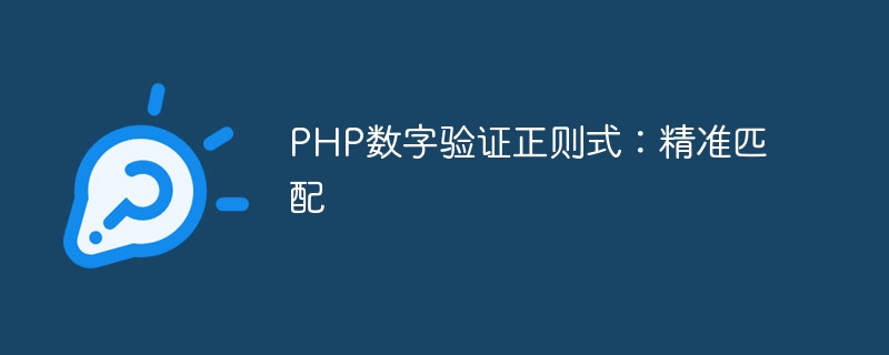 php数字验证正则式：精准匹配