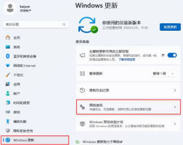 Win11高级启动怎么禁用驱动程序强制签名_win11禁用驱动程序强制签名技巧