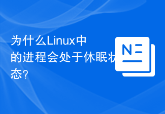 Linux의 프로세스가 왜 잠자기 상태입니까?