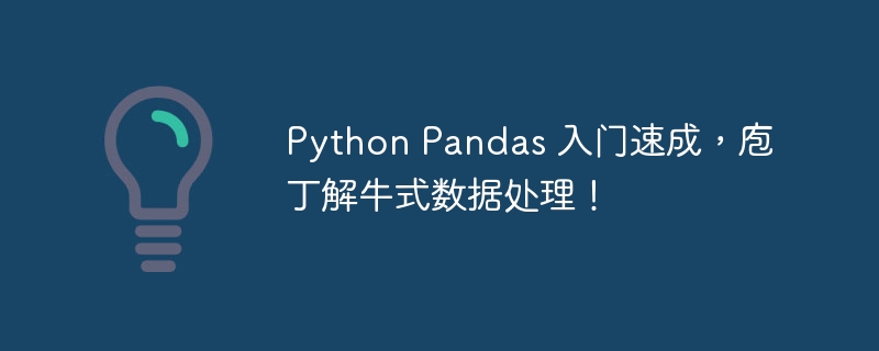 Python Pandas 入门速成，庖丁解牛式数据处理！