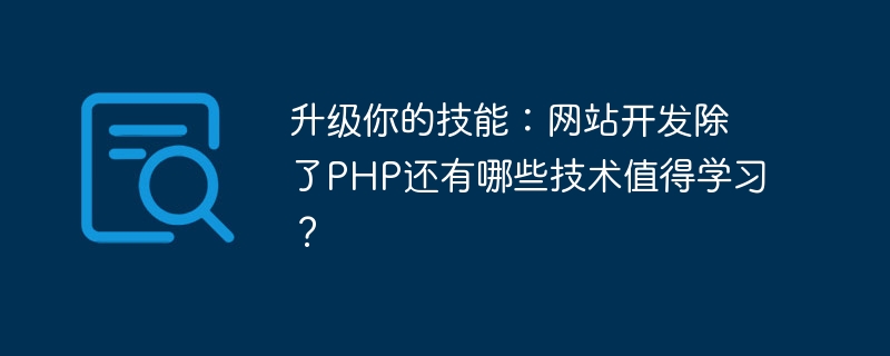 기술 업그레이드: PHP 외에 웹사이트 개발을 위해 배울 가치가 있는 다른 기술은 무엇입니까?