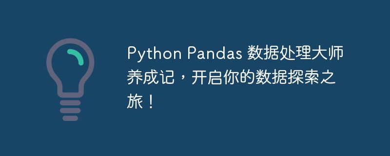 Python Pandas 数据处理大师养成记，开启你的数据探索之旅！-Python教程-