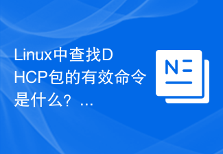 Linux에서 DHCP 패킷을 찾는 유효한 명령은 무엇입니까?