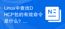 Apakah arahan yang sah dalam Linux untuk mencari paket DHCP?
